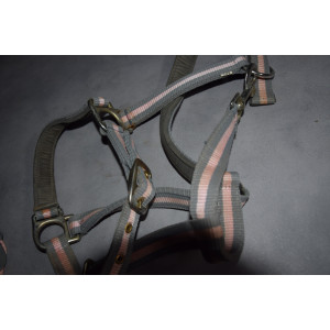 ensemble licol + Guêtres taille PONEY gris et rose