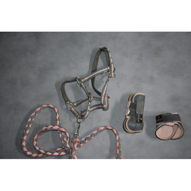 ensemble licol + Guêtres taille PONEY gris et rose