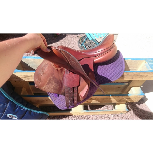 Selle Fleur de Lys, modèle Cavalia