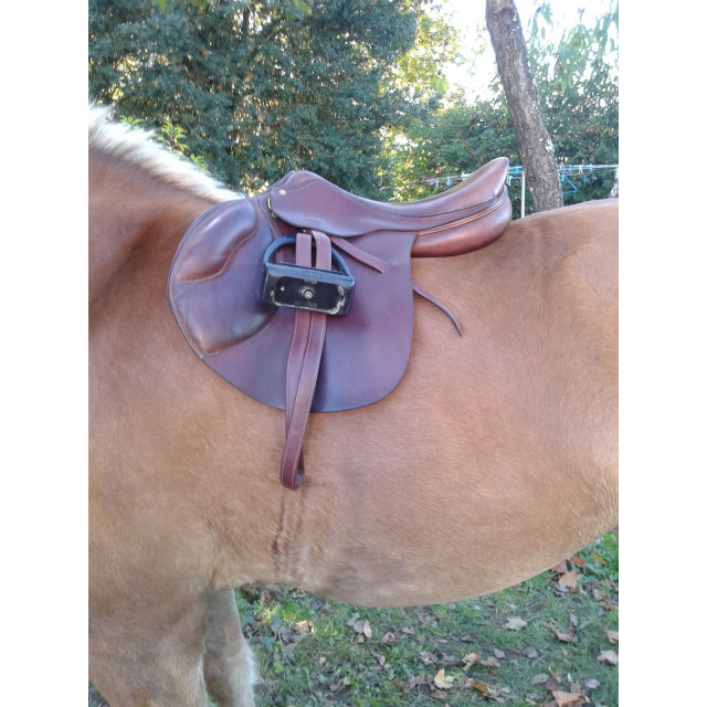 Selle Fleur de Lys, modèle Cavalia