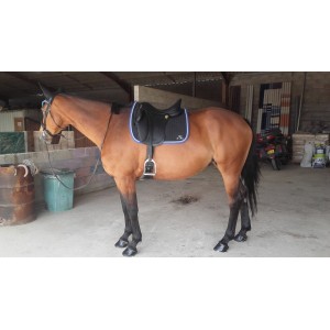 Selle de dressage 18'5