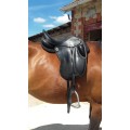 Selle de dressage 18'5
