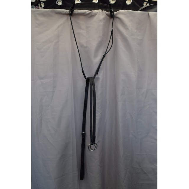 Martingale  Bruno Delgrange Cheval  Noir