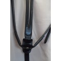 Martingale  Bruno Delgrange Cheval  Noir