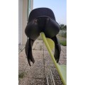 Selle fouilloux sensation