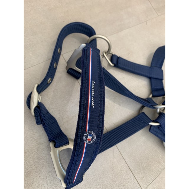 Licol bleu de l’équipe de France