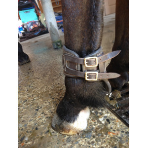 Ensemble Performance