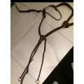 Collier de chasse Time rider