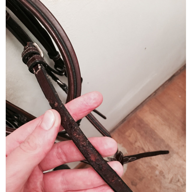 Bridon Hervé Godignon