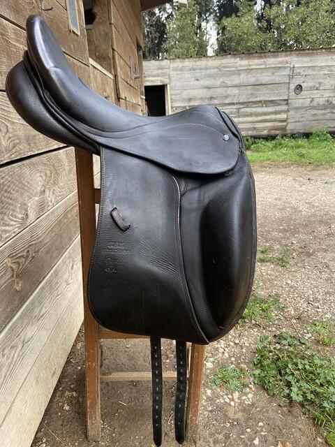 Selle stubben dressage