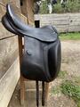 Selle stubben dressage