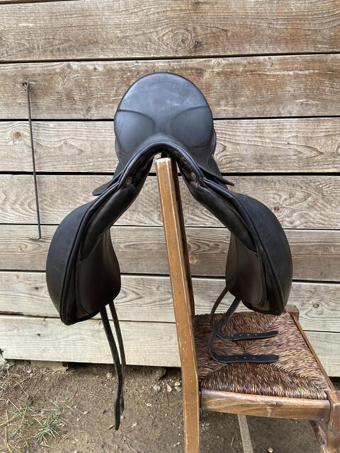 Selle stubben dressage