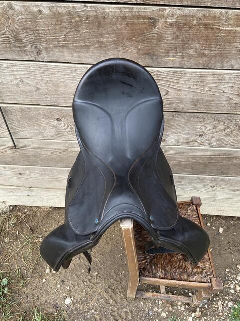 Selle stubben dressage