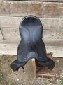 Selle stubben dressage