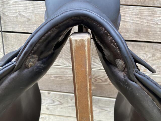 Selle stubben dressage