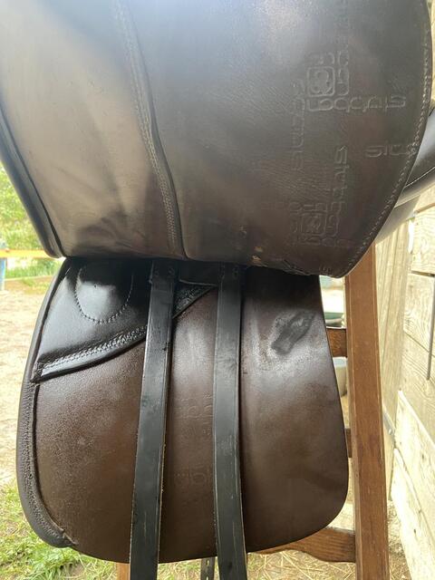 Selle stubben dressage