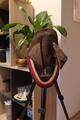 Ensemble AL Sportwear