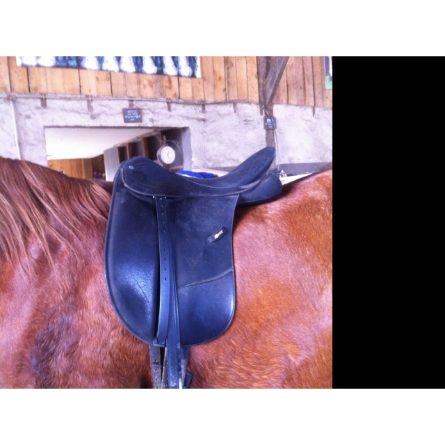 selle de Dressage Wintec Pro Cair 17" avec étriers et étriviéres + sac de selle.