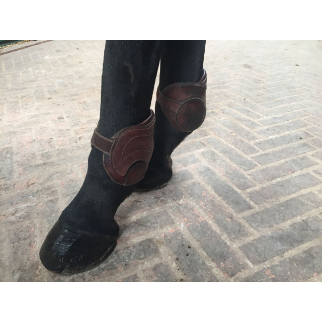 Protèges boulets cwd