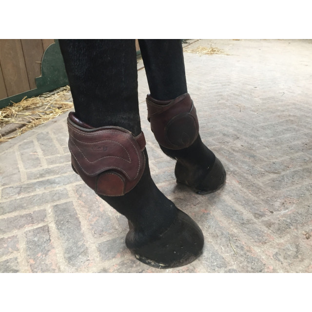 Protèges boulets cwd