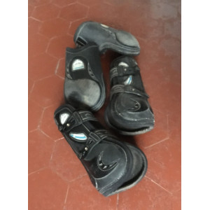 Ensemble veredus Vento