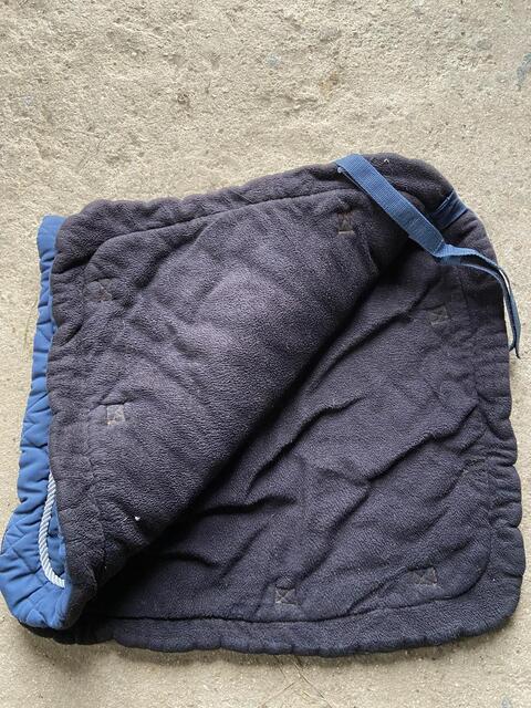 Tapis dressage
