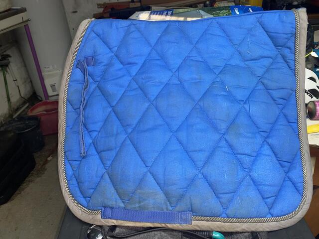 tapis bleu electrique
