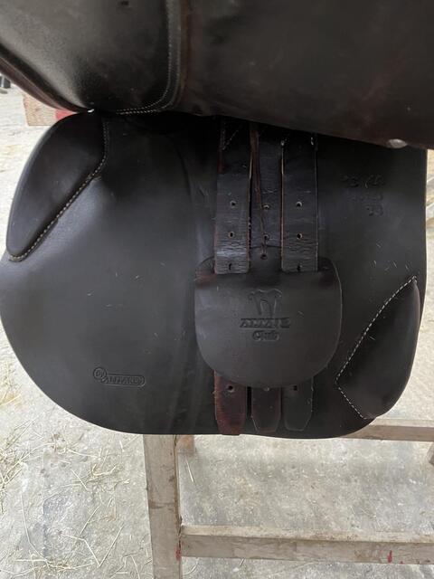 Selle Altaïr D’antares