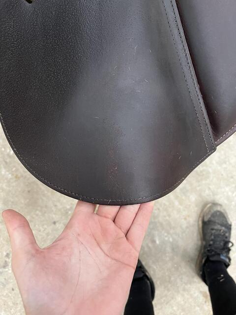Selle Altaïr D’antares