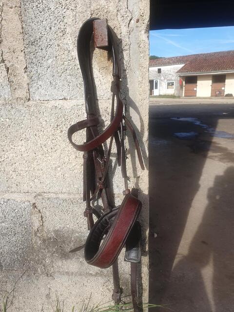 Bridon cheval cuir fait main