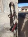 Bridon cheval cuir fait main