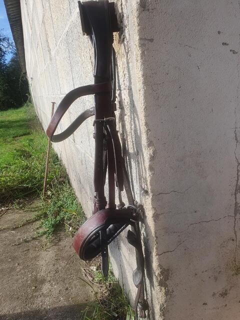 Bridon cheval cuir fait main