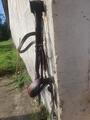 Bridon cheval cuir fait main