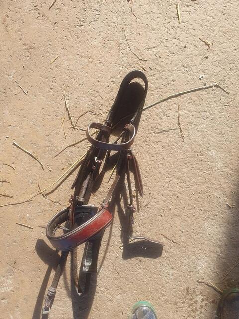 Bridon cheval cuir fait main