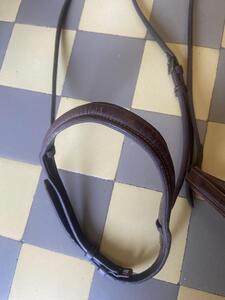 lot 2 muserolles CWD +1 Dyon