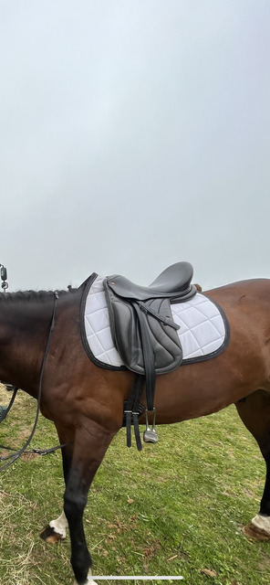 Selle de dressage Eric Thomas 17"