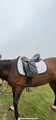 Selle de dressage Eric Thomas 17"