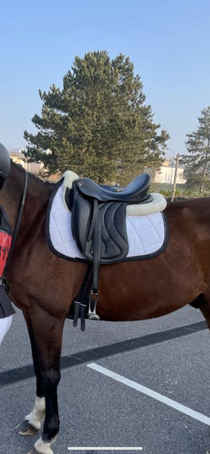 Selle de dressage Eric Thomas 17"