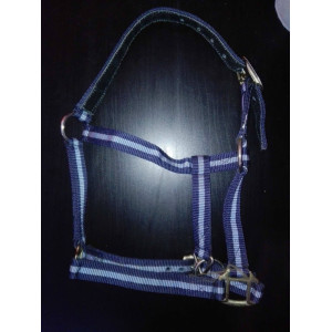 Licol bleu clair/beu foncé