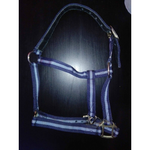 Licol bleu clair/beu foncé