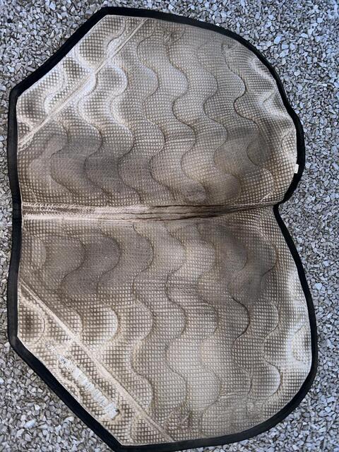 Tapis paddock sport bleu