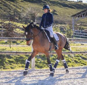 Ensemble Cavalleria Toscana dressage