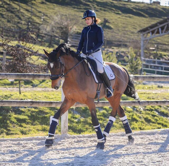 Ensemble Cavalleria Toscana dressage