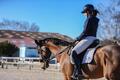 Ensemble Cavalleria Toscana dressage