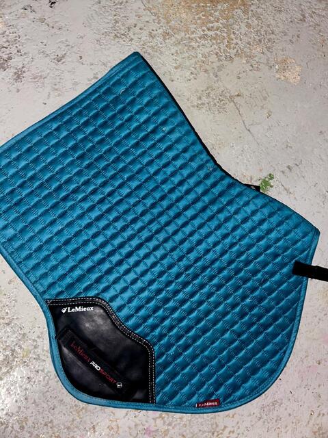TAPIS LEMIEUX - bleu canard