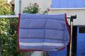 Ensemble tapis et guêtres poney