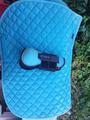 Tapis bleu