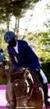 Veste Horse Pilot aerotech taille S/44