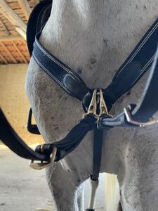 Collier de chasse