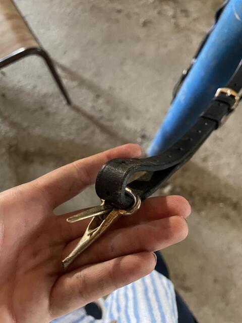 Collier de chasse